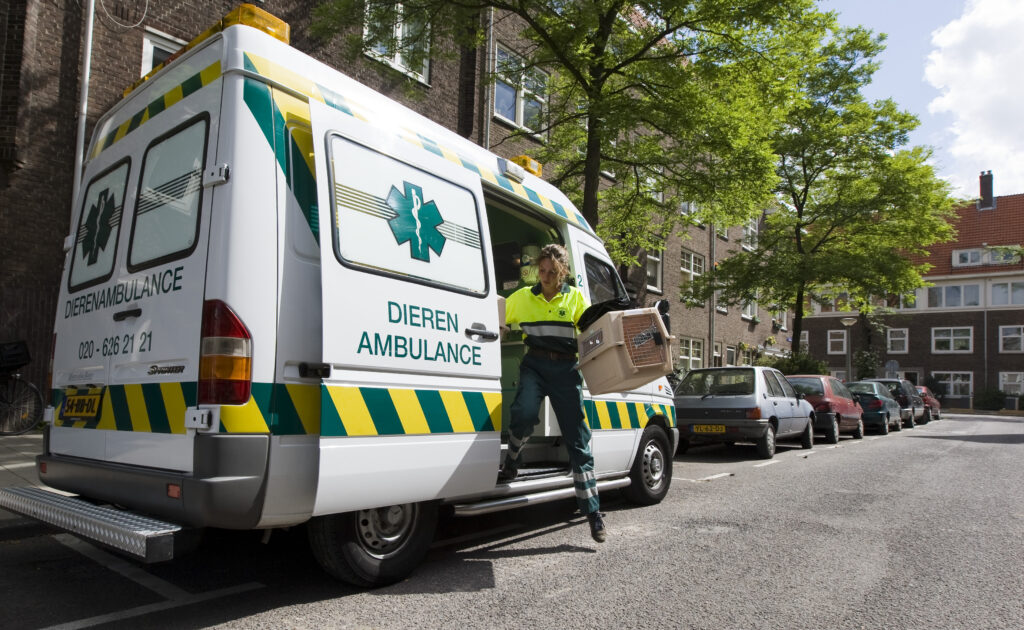 Illustratieve afbeelding van een dierenambulance.