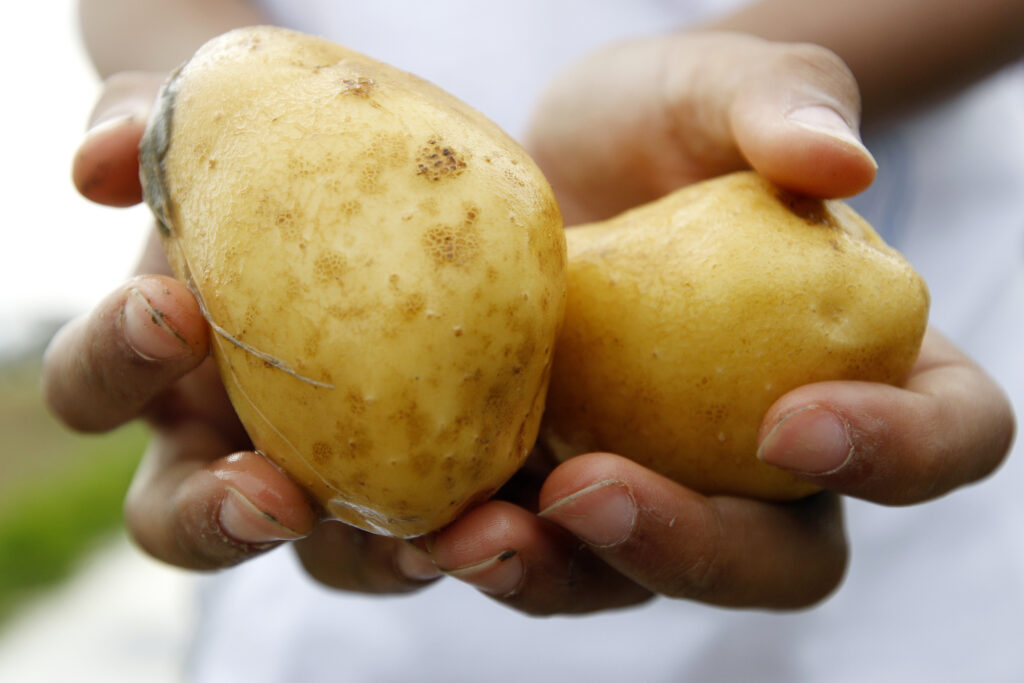 Vuoi mangiare cibo salutare per il tuo cuore? Cuocere le patate