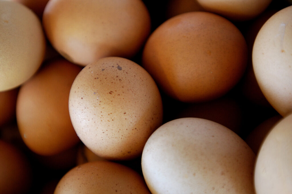 Overleven Regelmatig Bedrog De prijs van eieren was nog nooit zo hoog