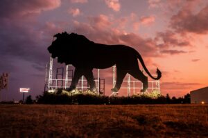 Lion King nu al succesvolste Disneyfilm in Nederland