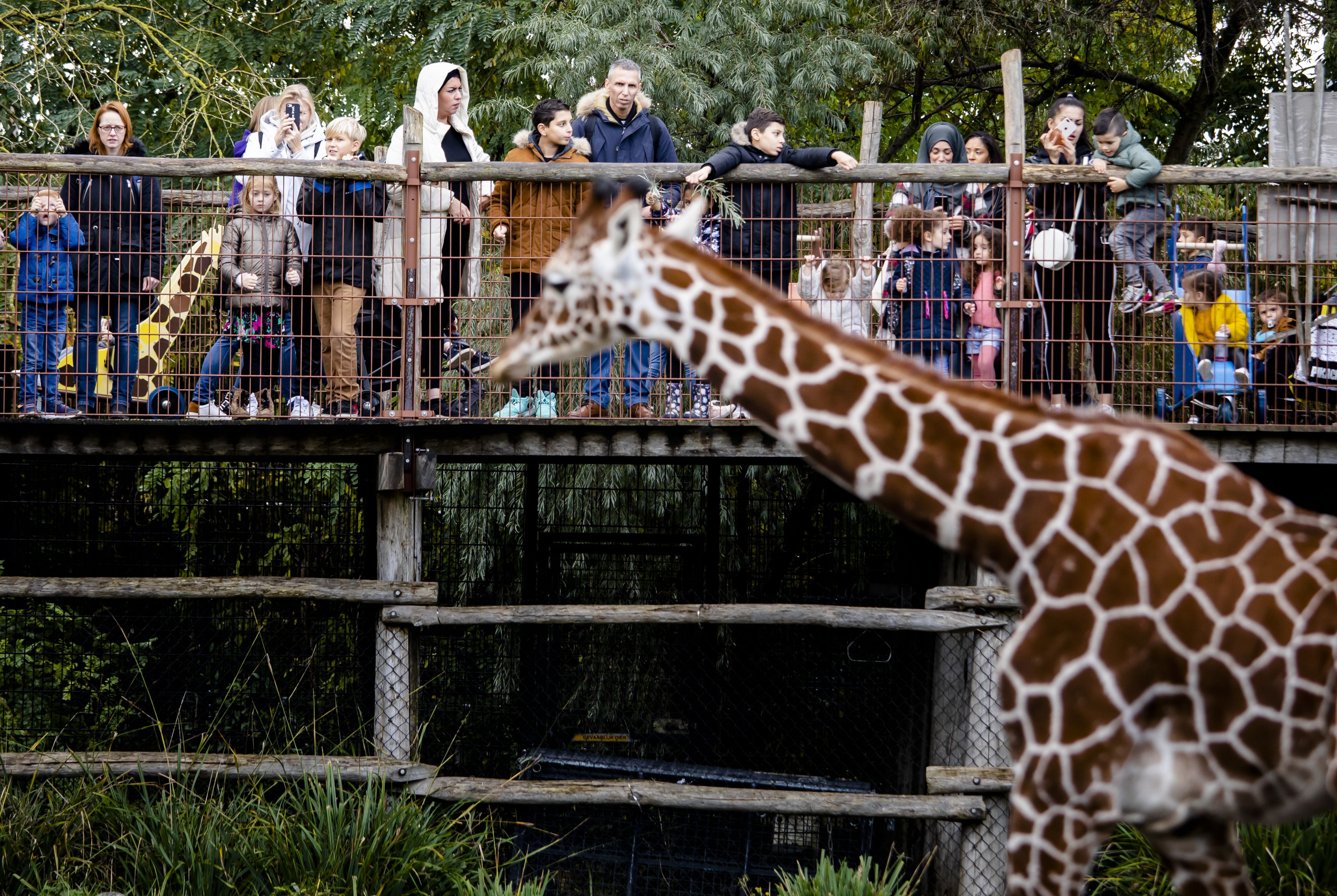 Overzicht wanneer zijn pretparken / dierentuinen weer open?