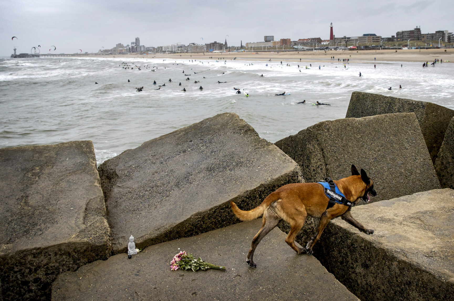 Nieuwe Zoekactie Vermiste Surfer Scheveningen Gestart