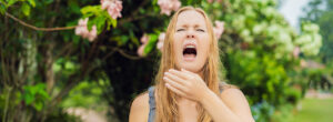 piek hooikoorts De graspollen gaan pieken en hebben Pinksteren daarvoor uitgekozen pollen