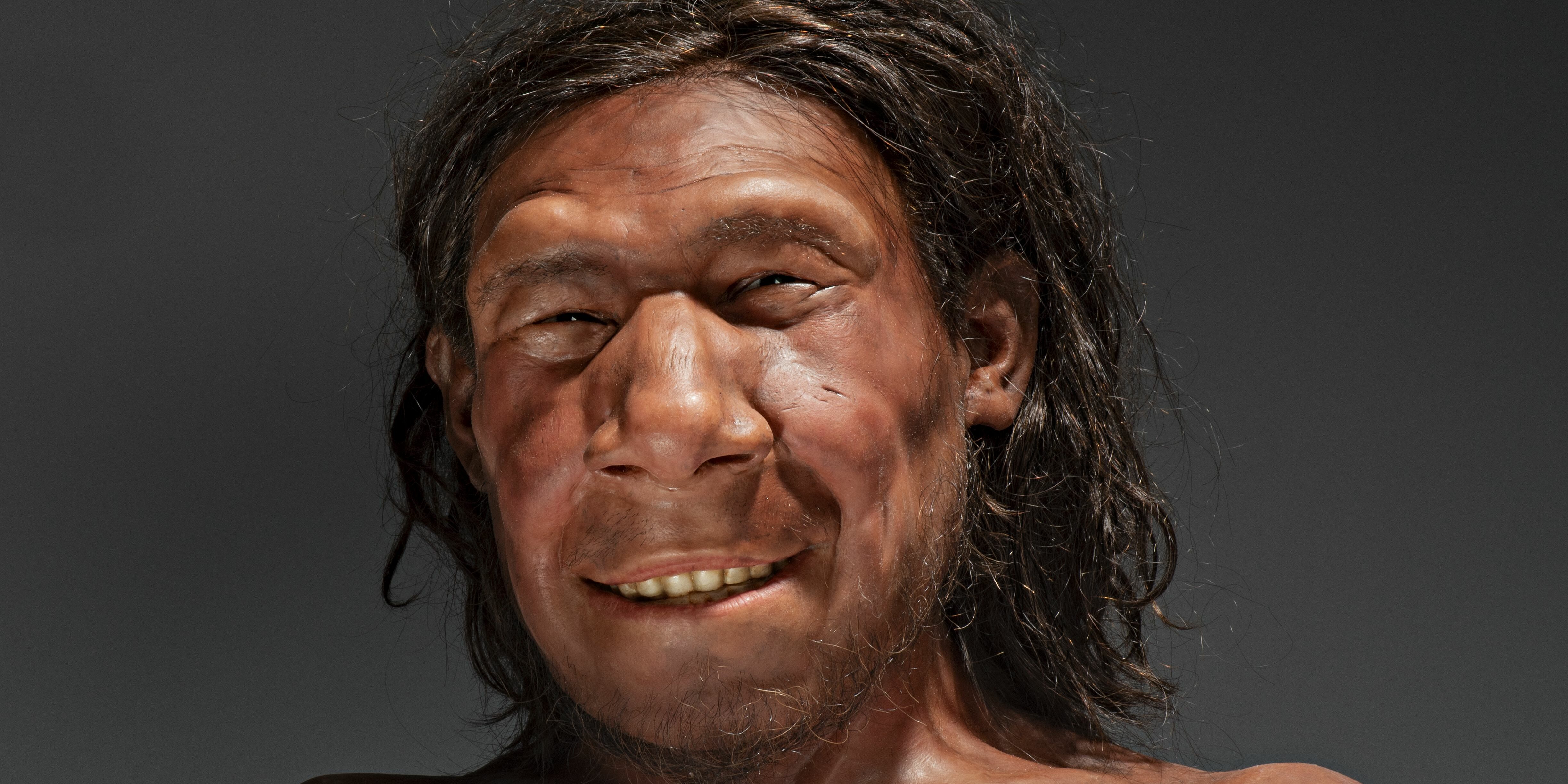 Oudste Nederlandse Neanderthaler heeft een gezicht gekregen afbeelding