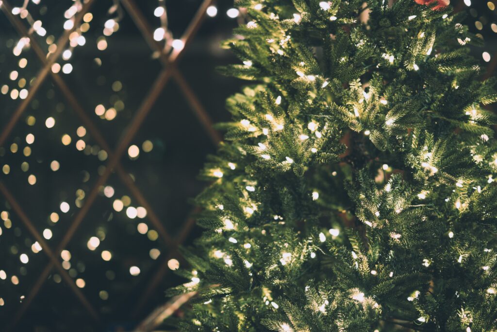 Straat Van Overleden Gino (9) Verlicht Met Kerstbomen