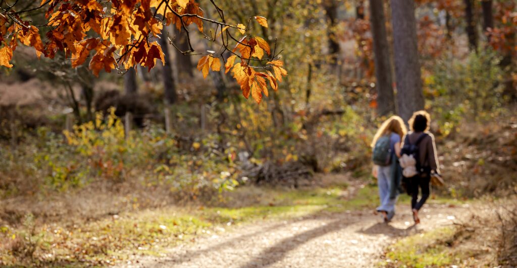 herfstvakantie herfst weer zonnig bos natuur gezondheid gezondheidsvoordelen onderzoek wetenschap