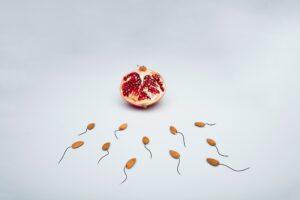 Sperma zaadcellen artsen vruchtbaarheid