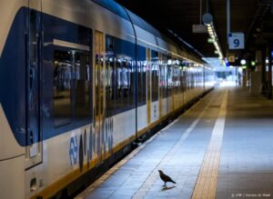 DEN HAAG - Een vogel loopt over een leeg perron op station Den Haag Centraal, tijdens een staking van NS-personeel. Het personeel leggen hun dienstregelingen in de ochtend enkele uren neer, om te staken voor een betere zwaarwerkregeling. ANP REMKO DE WAAL