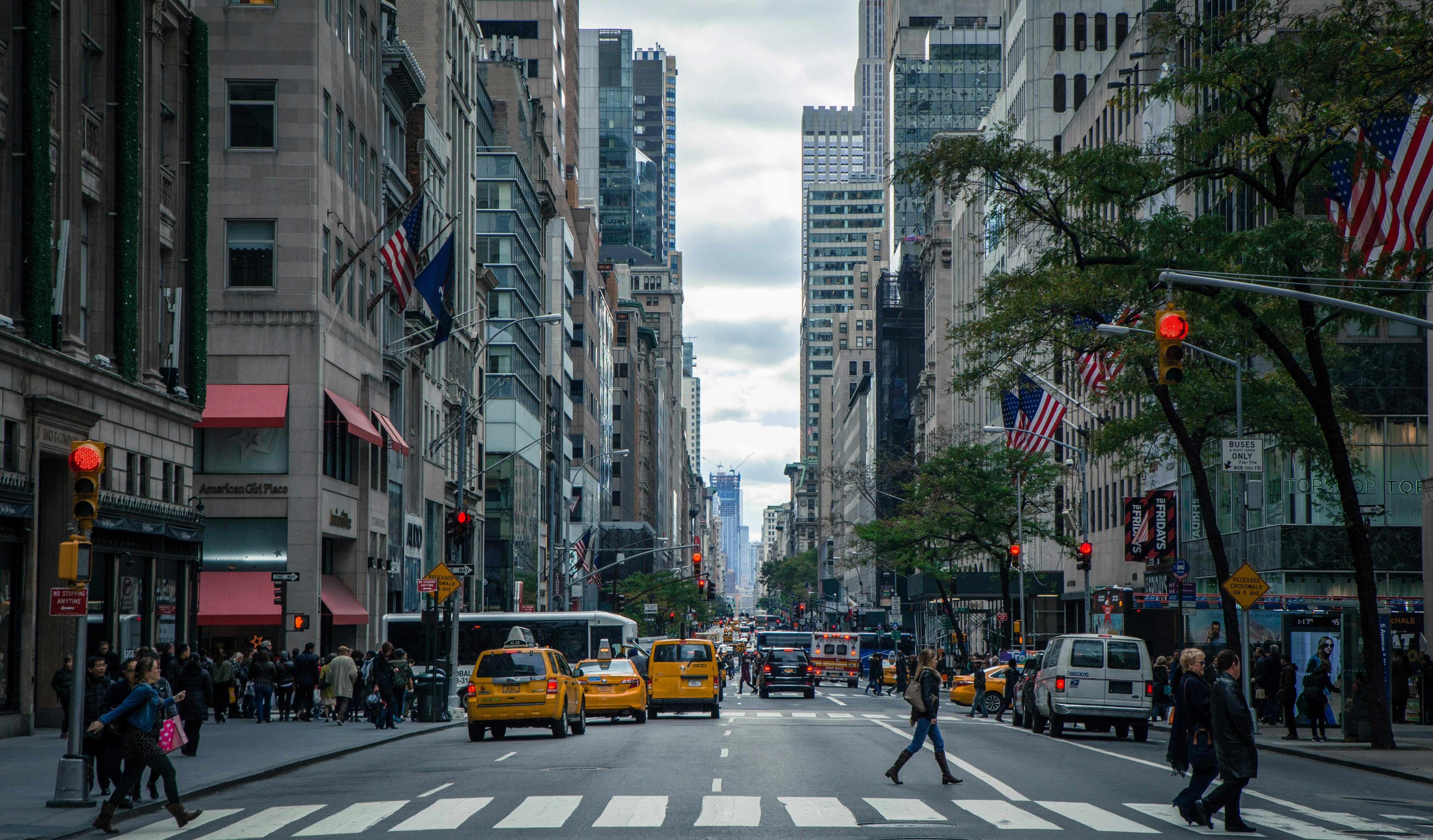 New York neemt nieuwe maatregel tegen overlast door ratten: anticonceptie