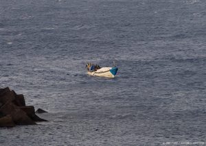 A 'cayuco' boat with 57 migrants onboard arrives at La Restinga port on the Canary island of El Hierro, on September 14, 2024. A steep rise in the number of arrivals of migrants in Spain's Canary Islands from Africa has fuelled a fierce debate in the country over how to tackle illegal immigration. Over 22,000 migrants have landed in the Canary Islands so far this year, compared to just under 10,000 during the same time last year.
Antonio SEMPERE / AFP