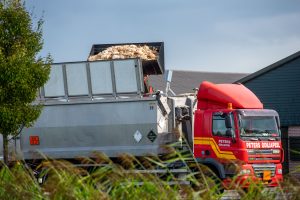 vogelgriep kippen ruimen