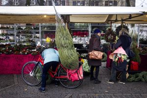 kerstboom mooi houden kerstboomkweker