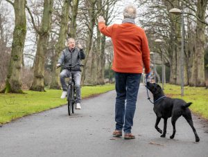 hond honden hondenbelasting